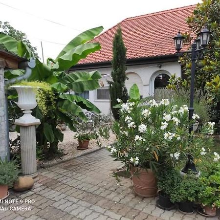 Lavendel Apartman 하르카니 외부 사진